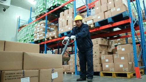 烈日下的“逆行者” 高溫下的低溫工作者如何保障貨物進出口暢通